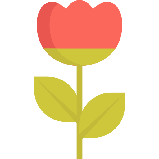 Tulip